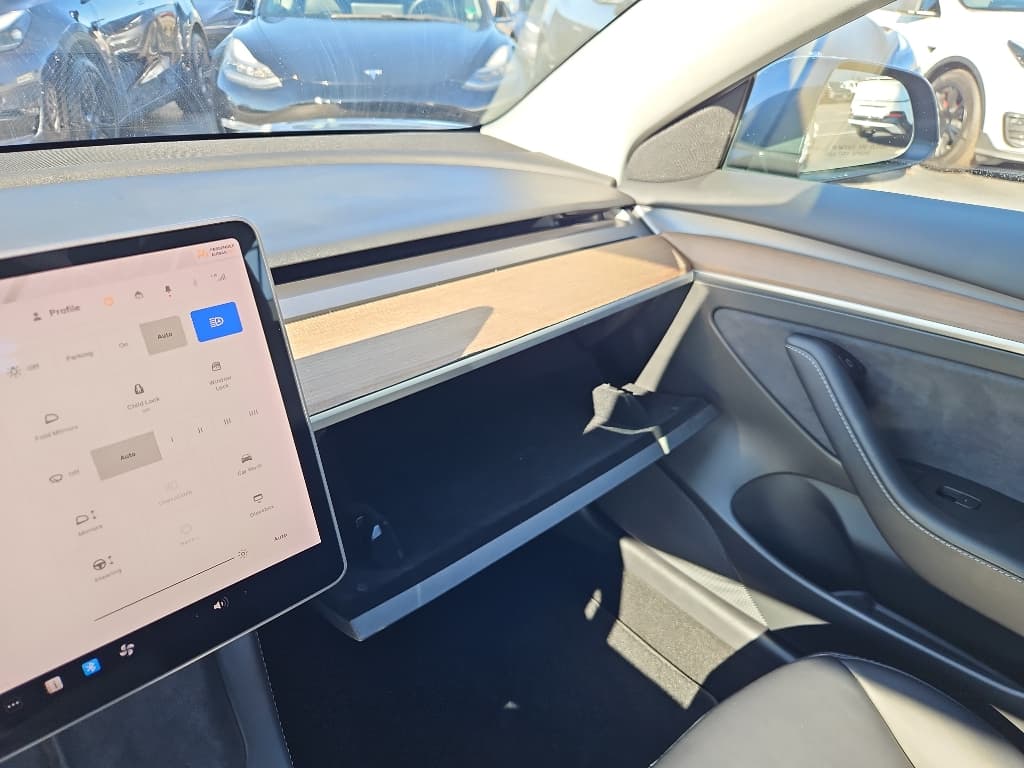 2021 Tesla Model 3 view 17