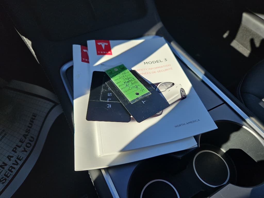 2021 Tesla Model 3 view 18