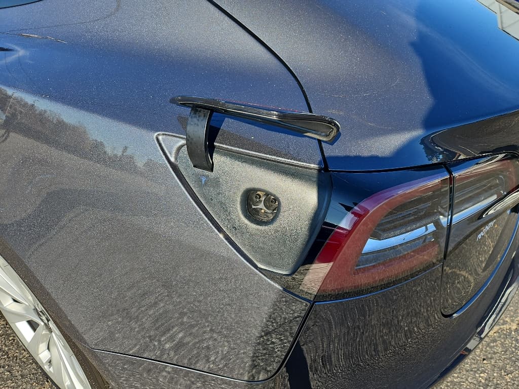 2021 Tesla Model 3 view 5