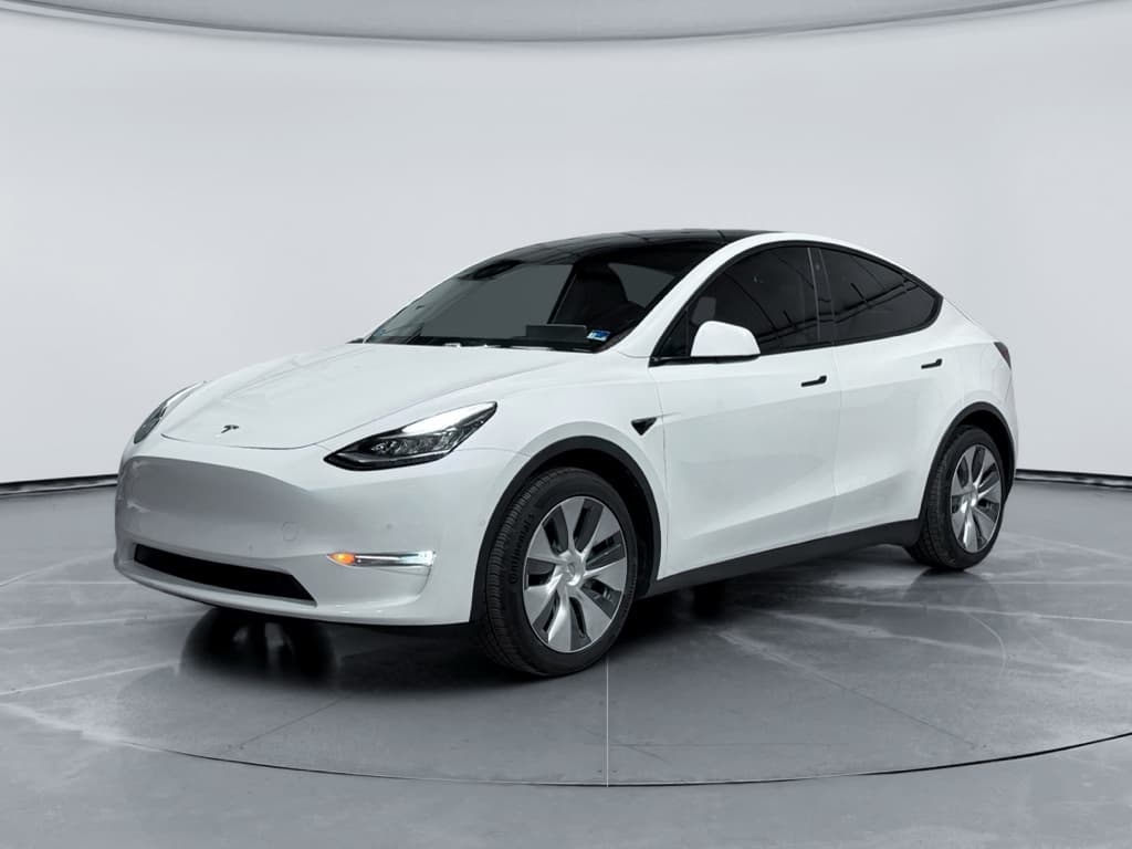 2020 Tesla Model Y view 1