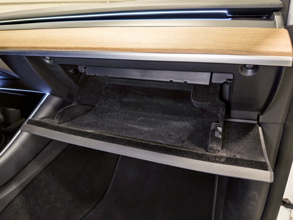 2020 Tesla Model Y view 18