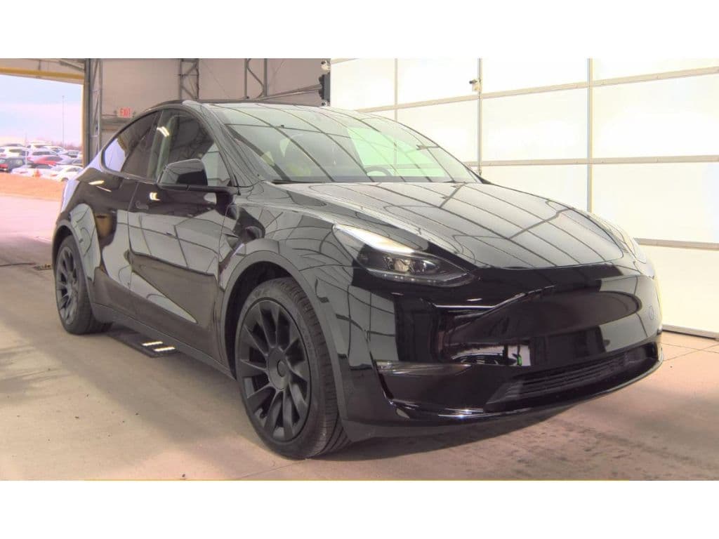 2024 Tesla Model Y view 2