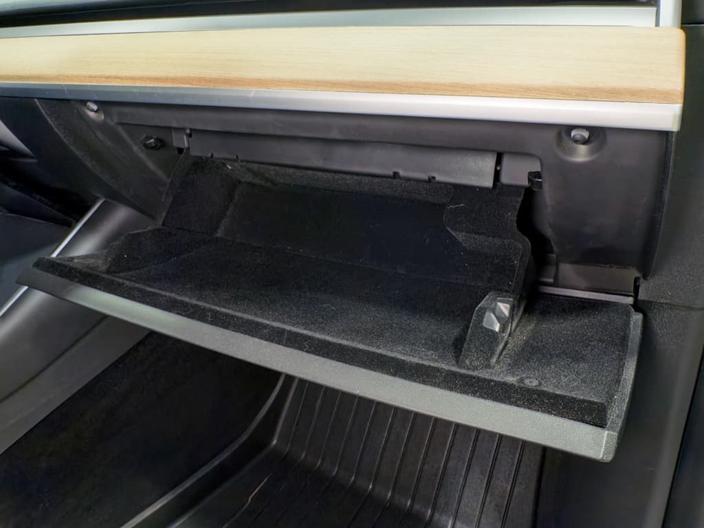 2021 Tesla Model Y view 18