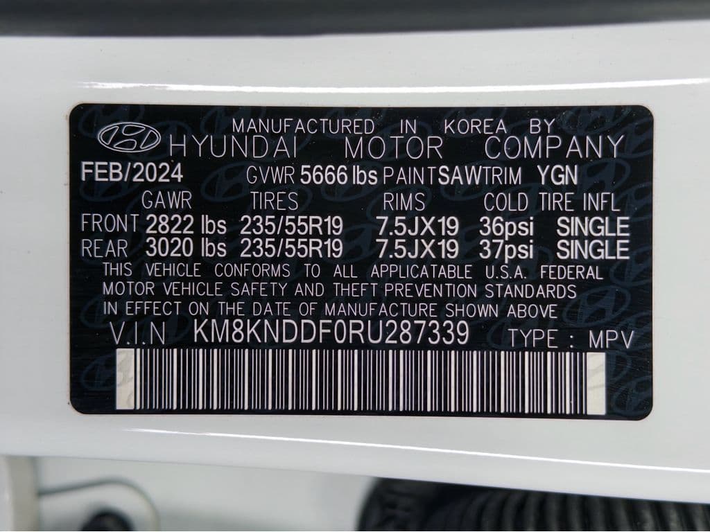 2024 Hyundai IONIQ 5 view 30