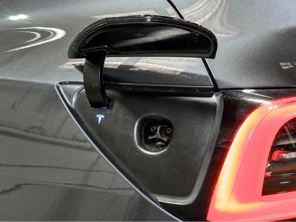 2022 Tesla Model Y view 5