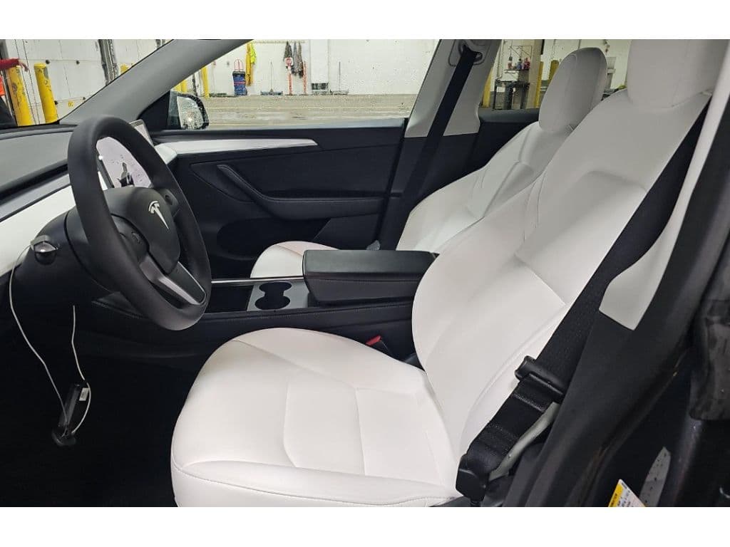 2023 Tesla Model Y view 5