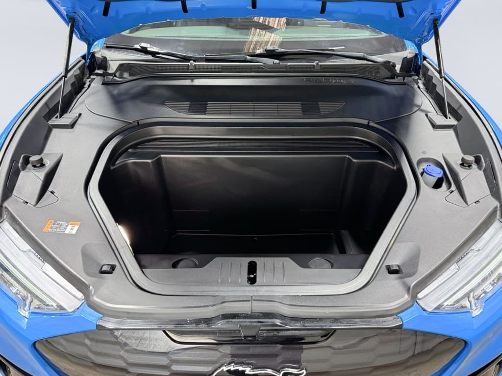 2022 Ford Mustang Mach-E view 25