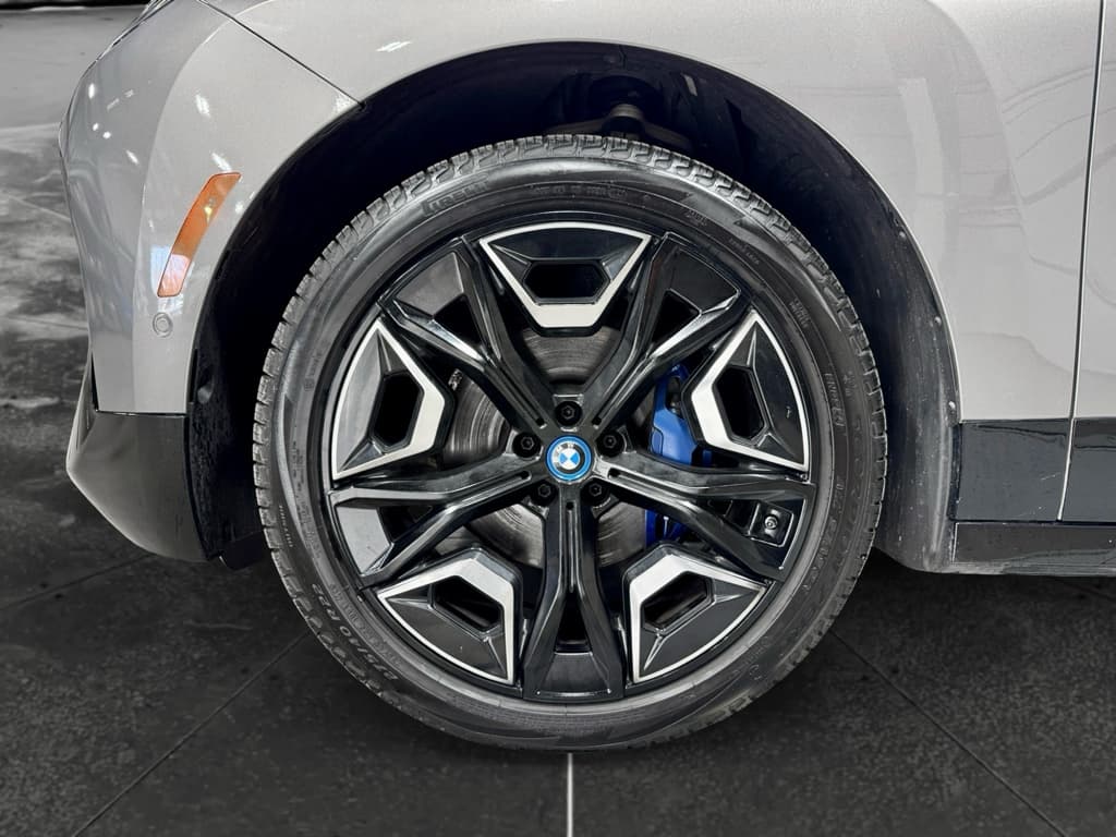 2023 BMW iX view 29